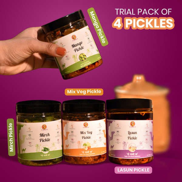 Trial Pack of 4 Pickles - 1